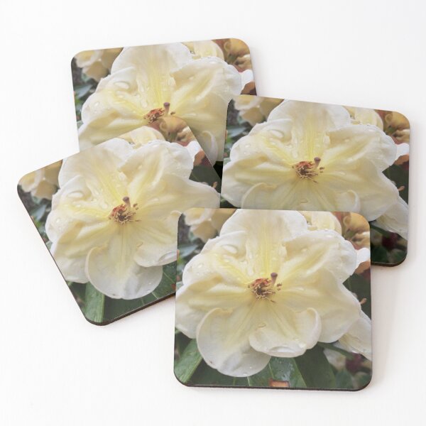 Item preview, Rhododendron  designed and sold by jdphotos.