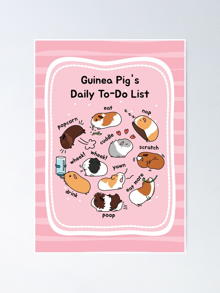 Guinea pig list hotsell