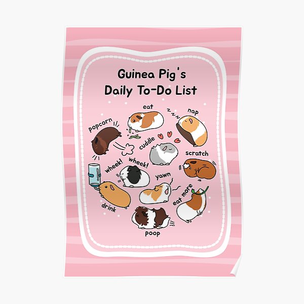 Guinea Pig Daily To-Do List - Pink Background Poster