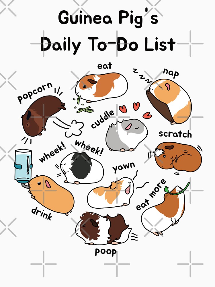 Discover Guinea Pig Daily To-Do List - Brown Background T-Shirt