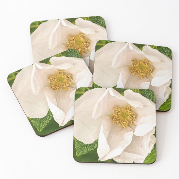 Item preview, White rose designed and sold by Fluffycat2020.