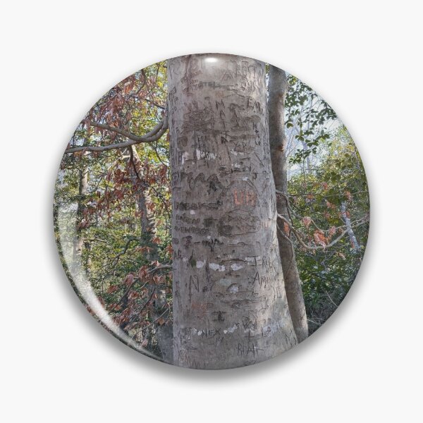 Item preview, ARBORGLYPH: American Beech designed and sold by Max Kindly.