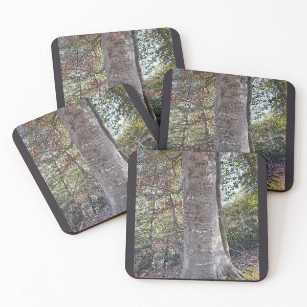 Item preview, ARBORGLYPH: American Beech designed and sold by Max Kindly.