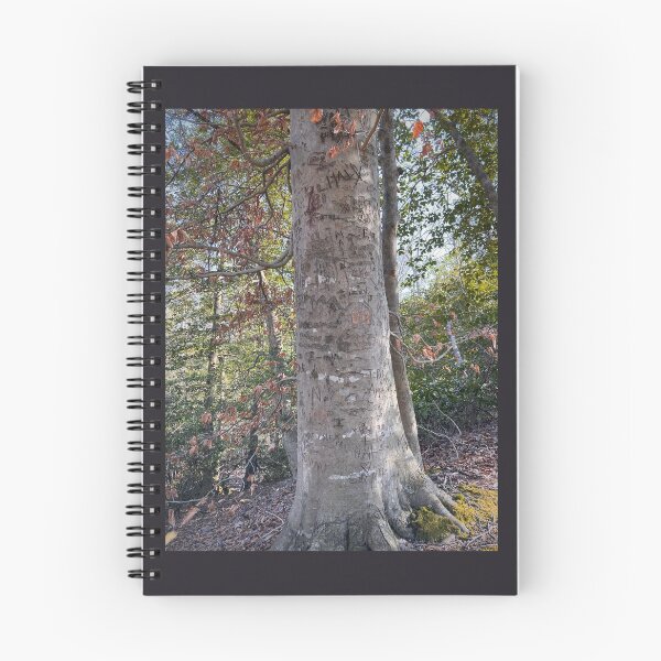 Item preview, ARBORGLYPH: American Beech designed and sold by Max Kindly.