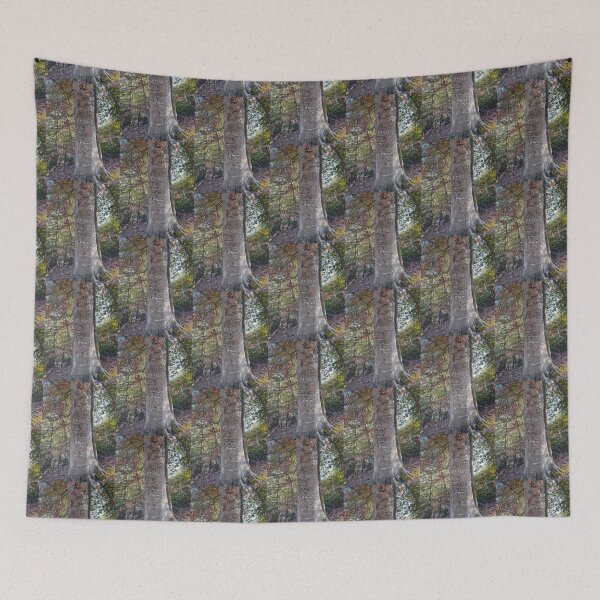 Item preview, ARBORGLYPH: American Beech designed and sold by Max Kindly.