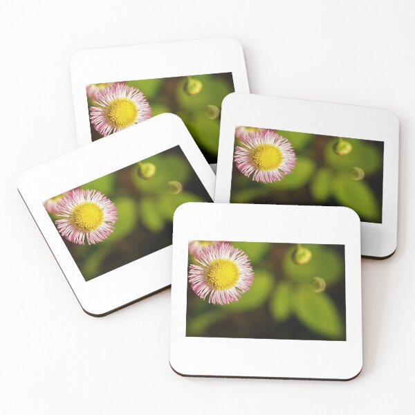 Item preview, Pink, Yellow, and Green in June designed and sold by Brian D. Field.