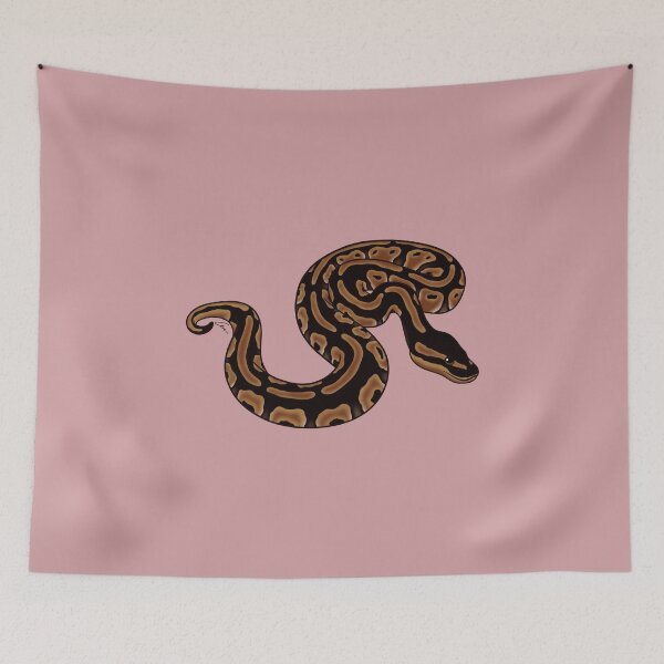 Item preview, Cinnamon Ball Python II designed and sold by anacecilia.