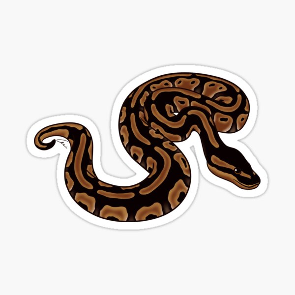 Item preview, Cinnamon Ball Python II designed and sold by anacecilia.
