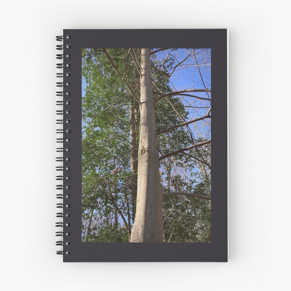 Item preview, American Beech Smooth Bark designed and sold by Max Kindly.