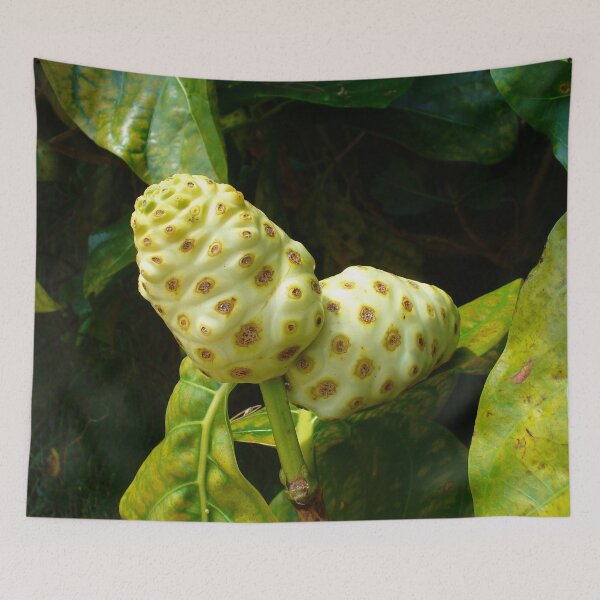 Item preview, Noni Fruit on a Tree designed and sold by KaSaPo.