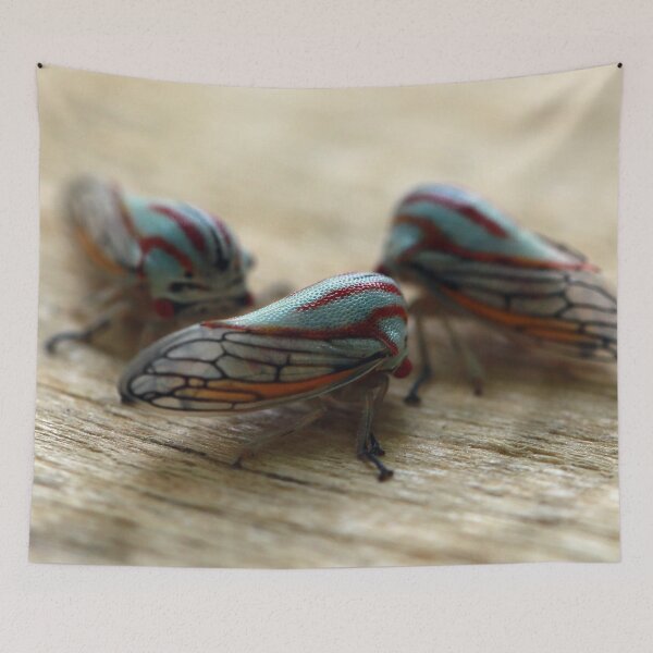 Item preview, Leafhoppers designed and sold by StampCity.