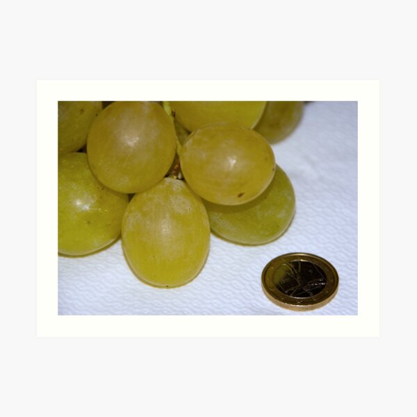 Monster Moscato grapes, Bolzano/Bozen, Italy Art Print