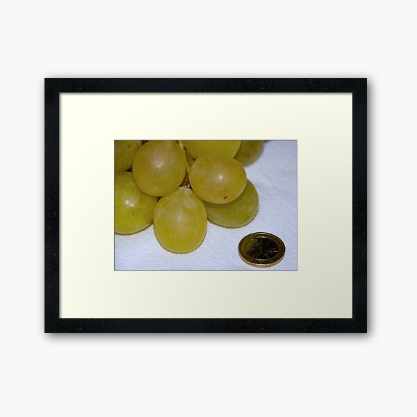 Monster Moscato grapes, Bolzano/Bozen, Italy Framed Art Print