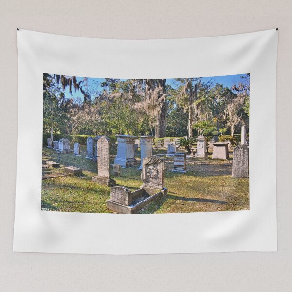 Item preview, Christ Church Cemetery St. Simons Georgia  designed and sold by LisaWootenPhoto.
