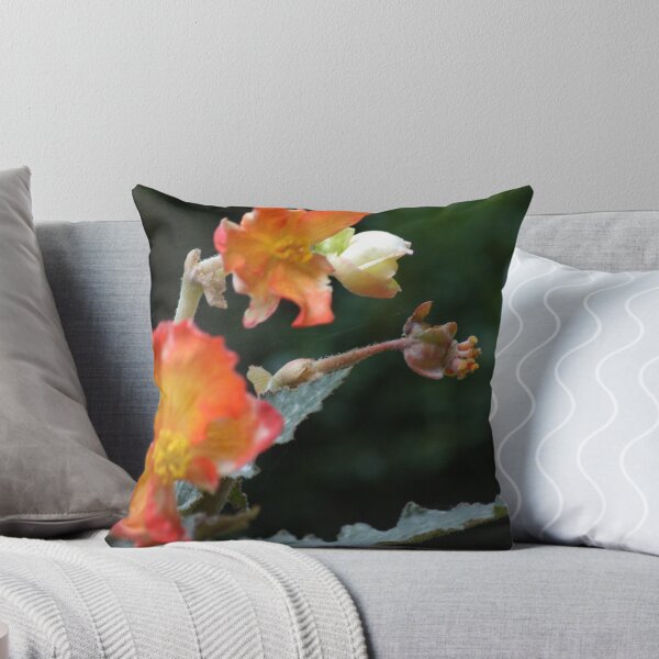 Item preview, The Begging Flower designed and sold by michel bazinet.