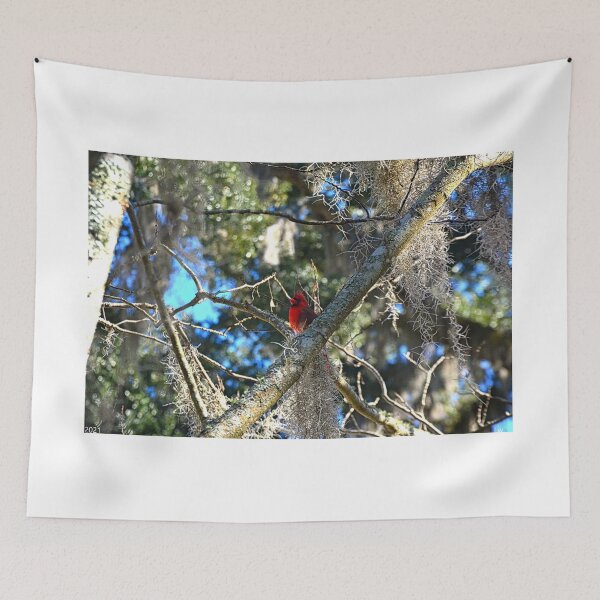 Item preview, Visitor From Heaven designed and sold by LisaWootenPhoto.