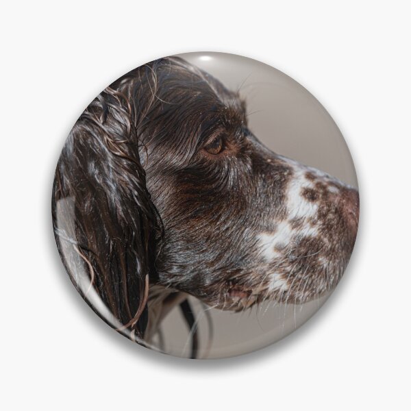 Item preview, Welsh Springer Spaniel designed and sold by RobWalkley.
