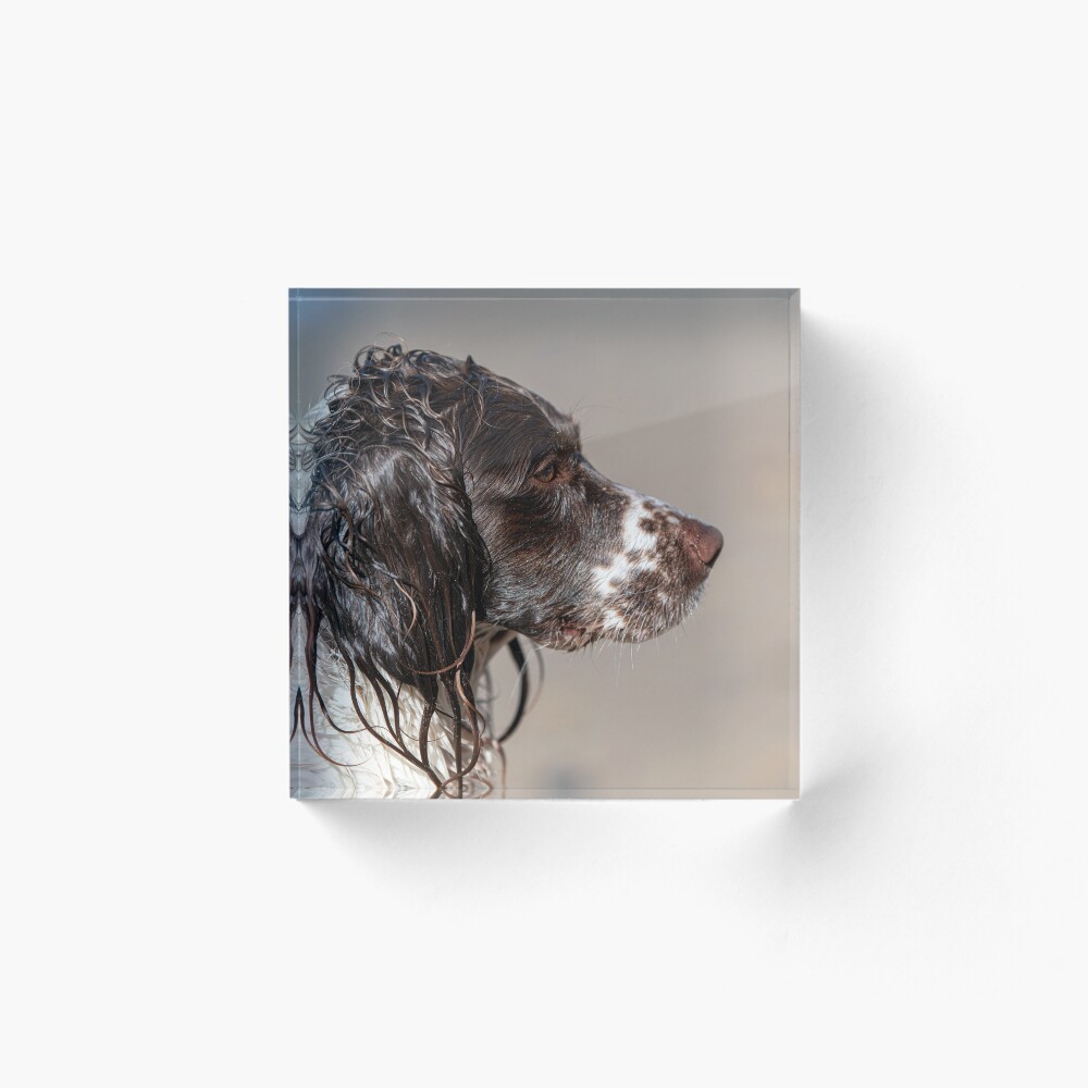 Item preview, Acrylic Block designed and sold by RobWalkley.