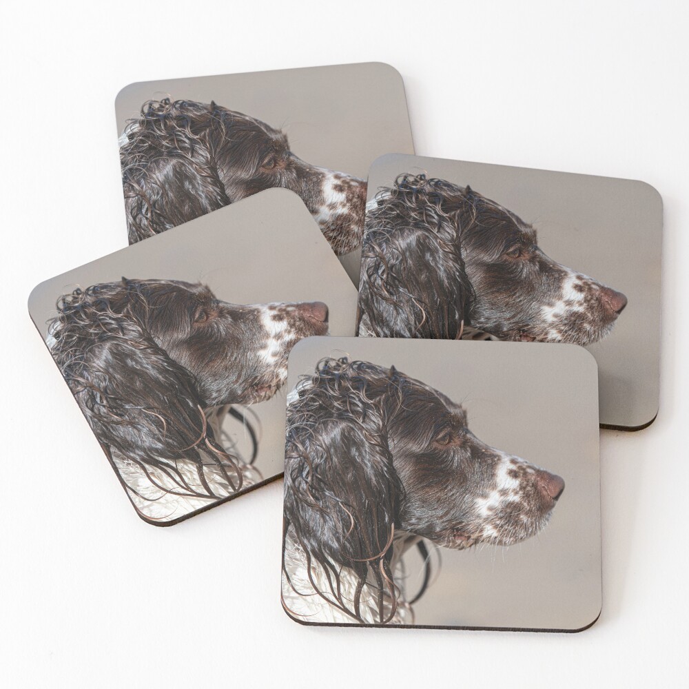 Item preview, Coasters (Set of 4) designed and sold by RobWalkley.