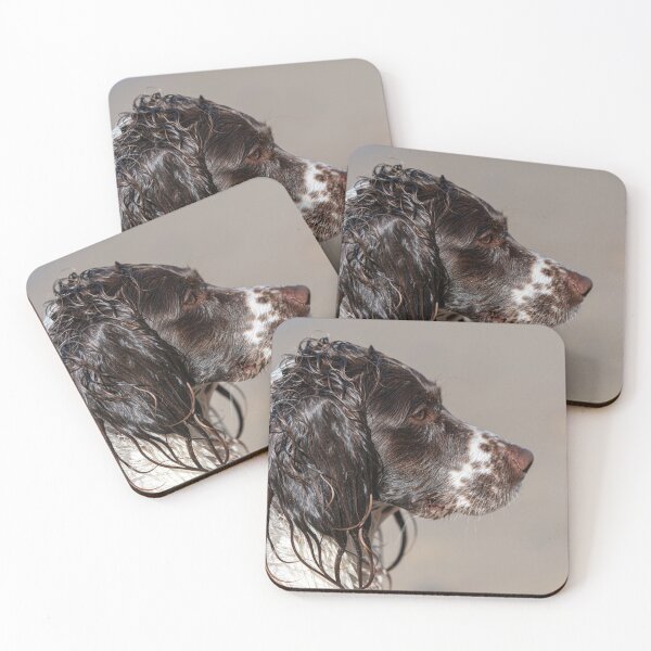 Item preview, Welsh Springer Spaniel designed and sold by RobWalkley.