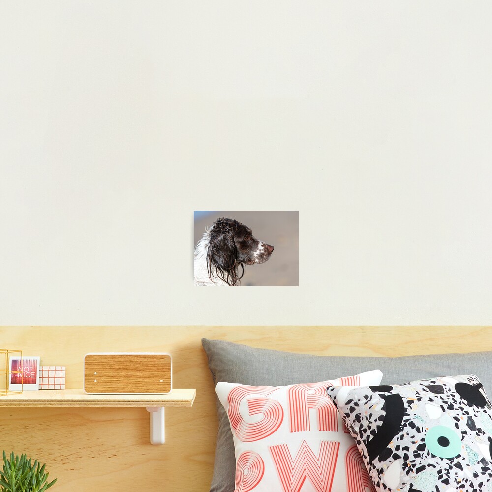 Item preview, Photographic Print designed and sold by RobWalkley.