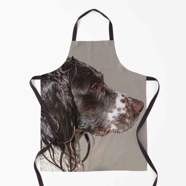 Item preview, Welsh Springer Spaniel designed and sold by RobWalkley.
