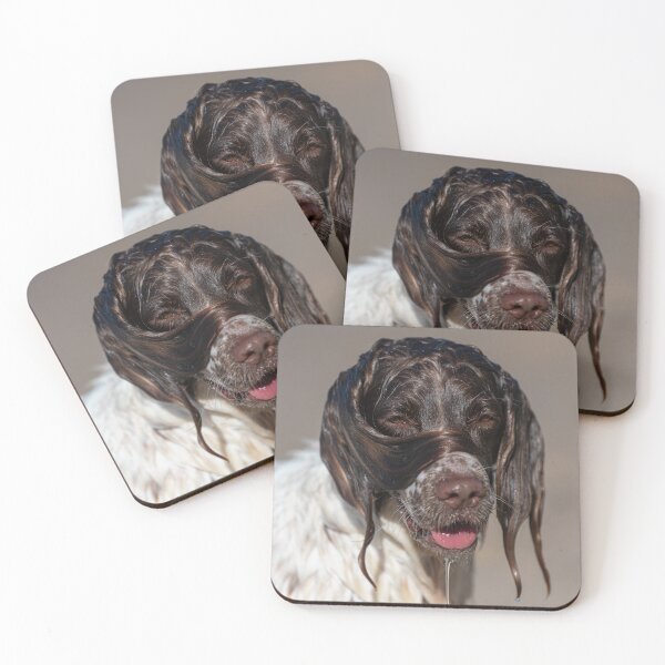 Item preview, Welsh Springer designed and sold by RobWalkley.