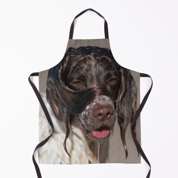 Item preview, Welsh Springer designed and sold by RobWalkley.