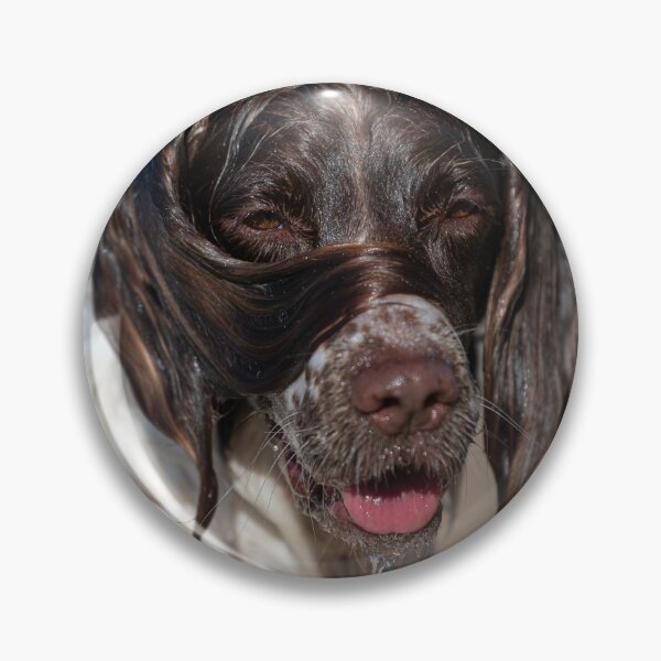 Item preview, Welsh Springer designed and sold by RobWalkley.
