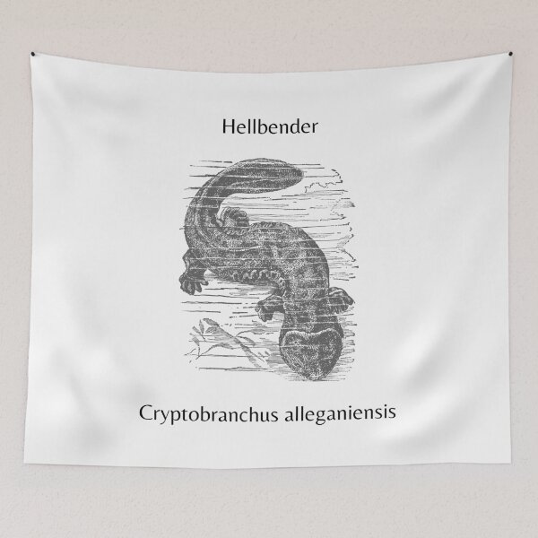 Item preview, Hellbender Salamander  designed and sold by AnnabethChatwin.