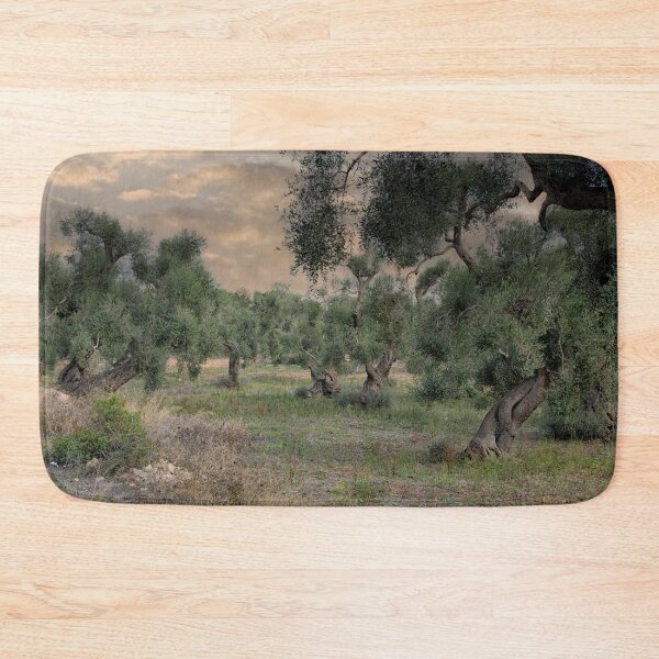 Item preview, Olive trees designed and sold by Photopat.