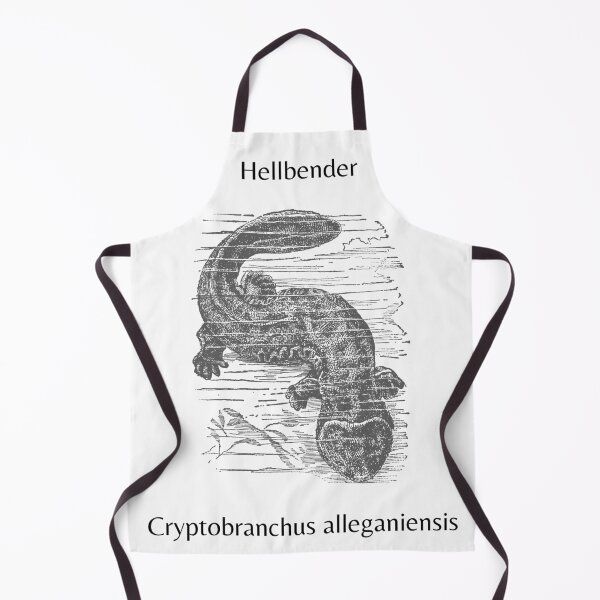 Item preview, Hellbender Salamander designed and sold by AnnabethChatwin.