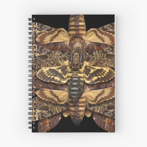 Item preview, Death's Head Moth Mandala - Asymmetrical designed and sold by jenithea.