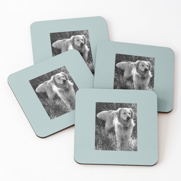 Item preview, Black and white picture of a retriever with his eyes closed. designed and sold by DonnaMolyneux.