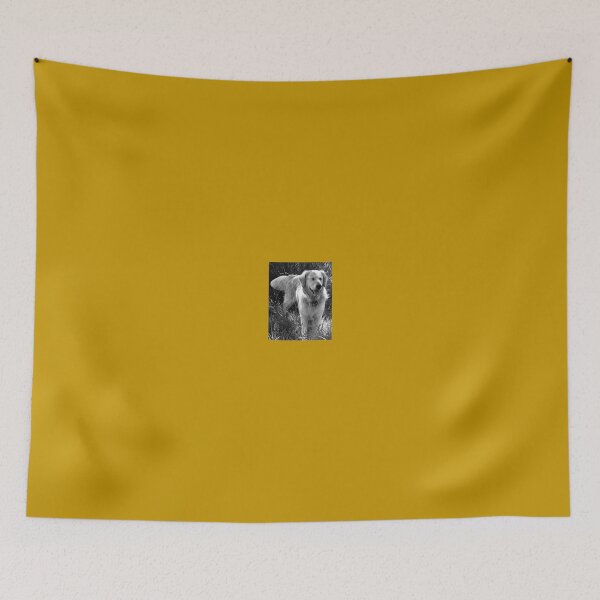 Item preview, Black and white picture of a retriever with his eyes closed. designed and sold by DonnaMolyneux.
