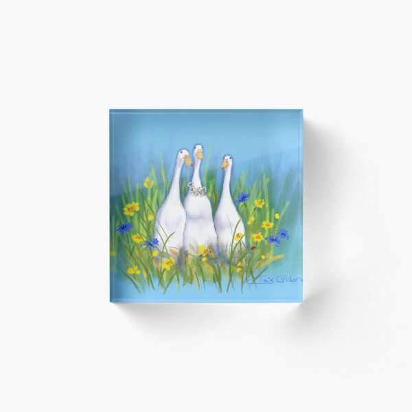 Nicky's Ducks Acrylic Block