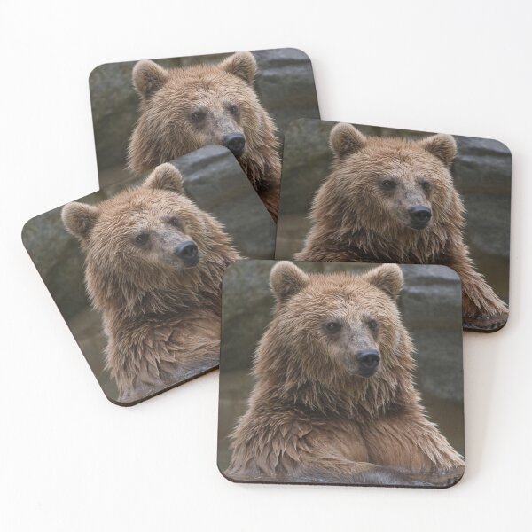 Item preview, Grizzly Bear canvas,Grizzly Bear,animal, animals,Grizzly Bear wall art,Grizzly Bear artwork,Grizzly Bears,wild,Grizzly Bear art,Grizzly Bear painting designed and sold by eyesight4vision.