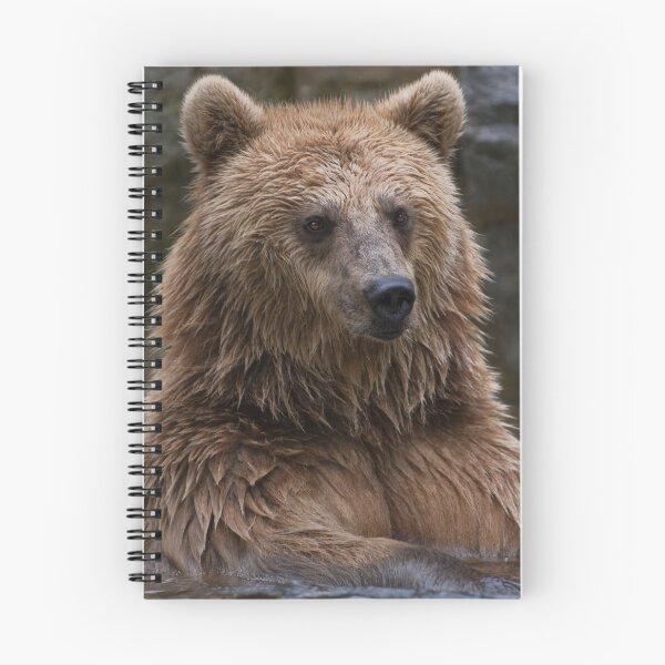 Item preview, Grizzly Bear canvas,Grizzly Bear,animal, animals,Grizzly Bear wall art,Grizzly Bear artwork,Grizzly Bears,wild,Grizzly Bear art,Grizzly Bear painting designed and sold by eyesight4vision.