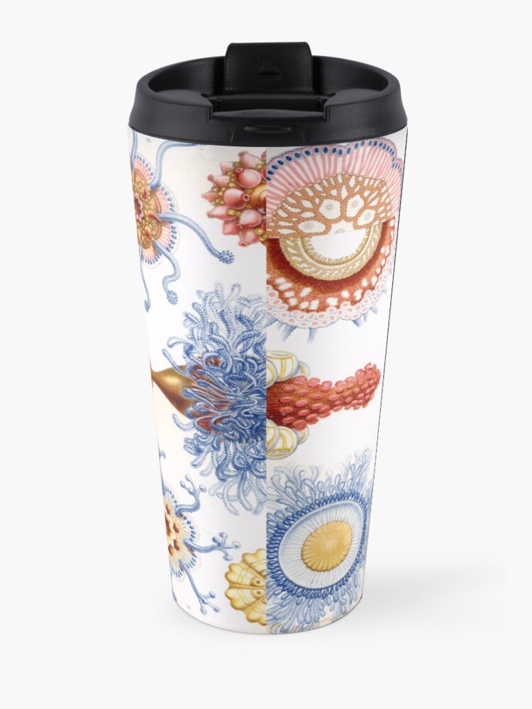 Alternate view of Haeckel Siphonophorae. Siphonophorae is an order of Hydrozoans, a class of marine organisms belonging to the phylum Cnidaria Travel Coffee Mug