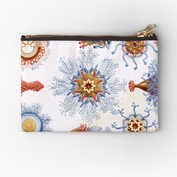 Haeckel Siphonophorae. Siphonophorae is an order of Hydrozoans, a class of marine organisms belonging to the phylum Cnidaria Zipper Pouch