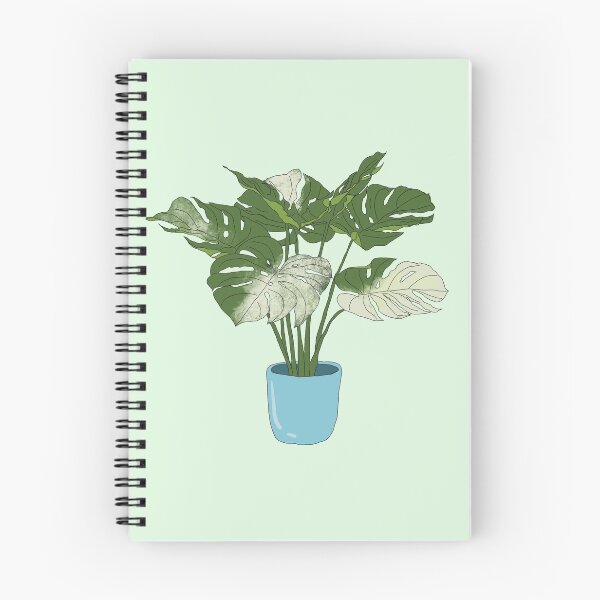 Item preview, Monstera Variegata designed and sold by Skyebeari.
