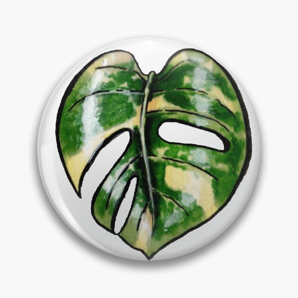 Item preview, Monstera Variegata I designed and sold by -Senaar-.
