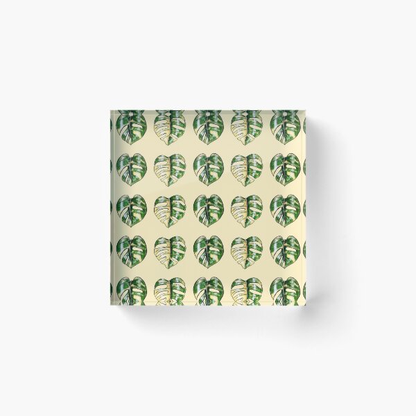 Item preview, Monstera Variegata I designed and sold by -Senaar-.