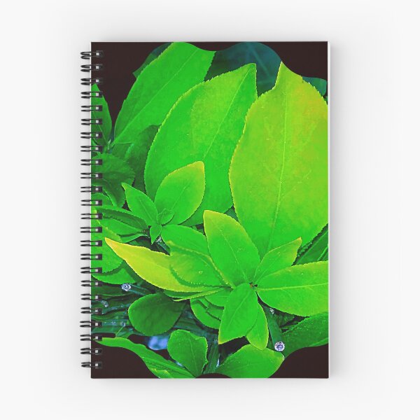 Item preview, Green Leaves Photographic Print designed and sold by marvacousins246.