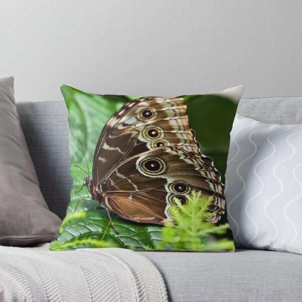 Item preview, Blue Morpho designed and sold by PhotosByHealy.