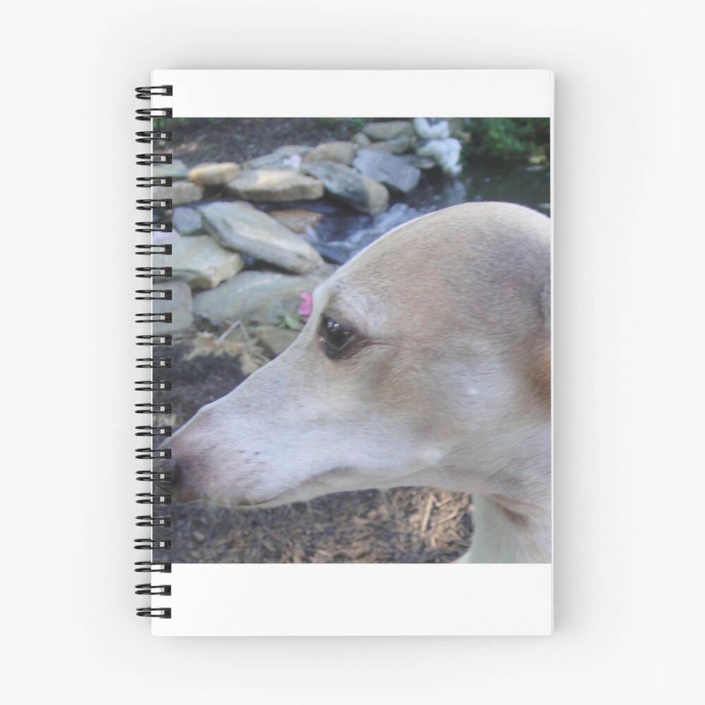 Item preview, Spiral Notebook designed and sold by CWCards2013.