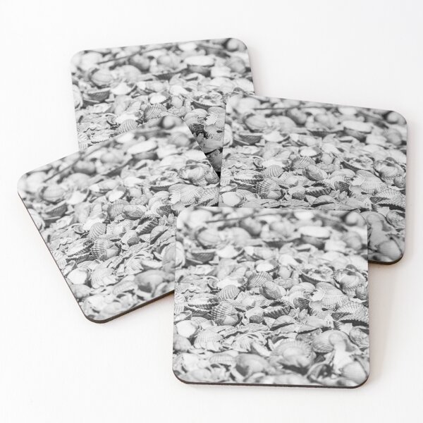 Item preview, Seashells in Black and White designed and sold by Duncan Day.