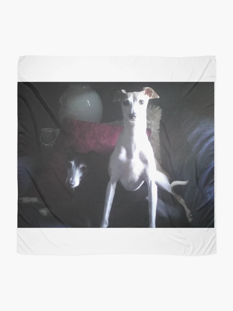 Thumbnail 2 of 3, Scarf, A Portrait designed and sold by CWCards2013.