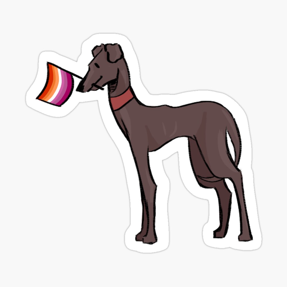 Greyhound lesbian
