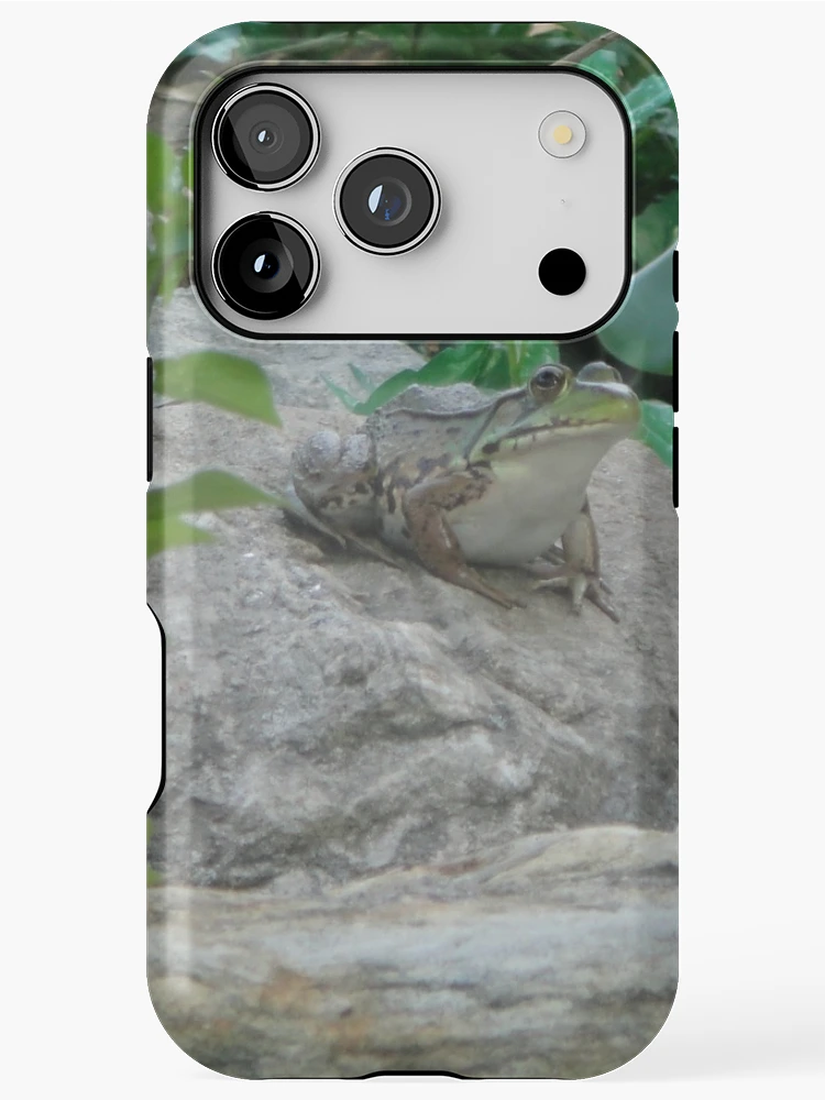 Thumbnail 1 of 4, iPhone Case, On Guard designed and sold by CWCards2013.